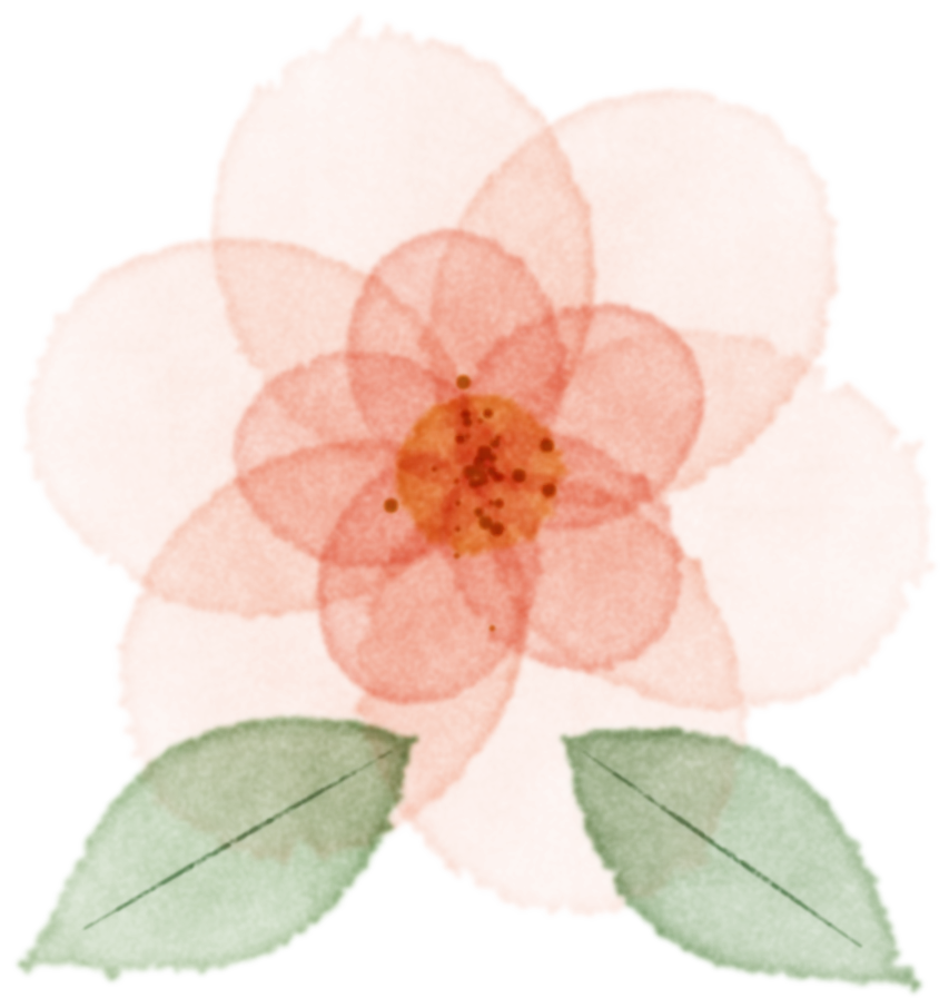 Watercolor camellia
