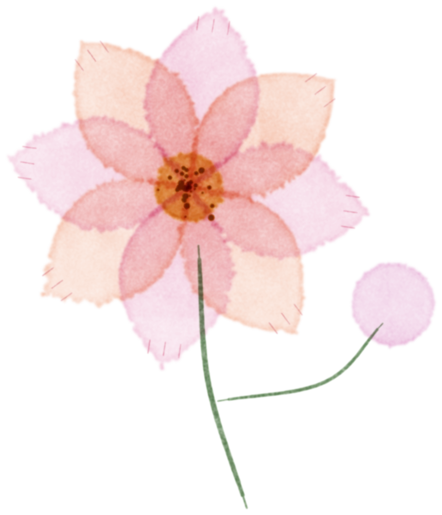 Watercolor cosmos