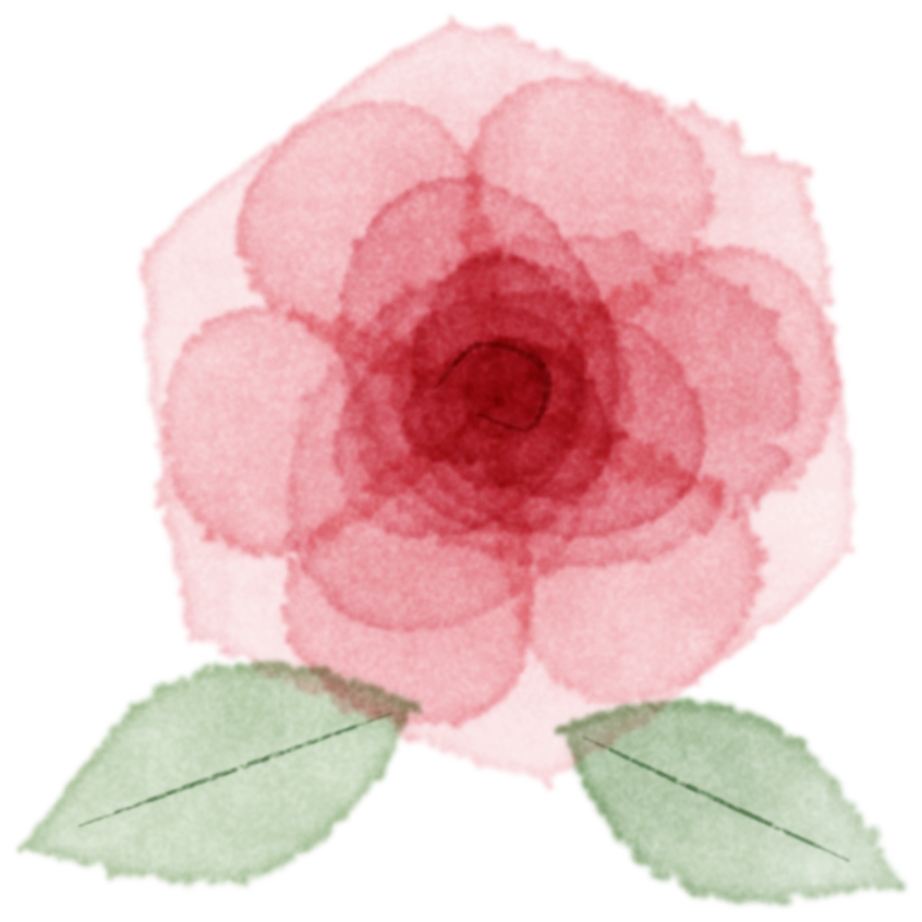 Watercolor rose